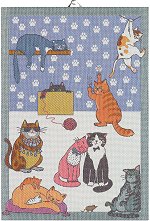 Cats Fun